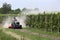 Fruit trees and a tractor making dust