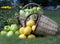 Fruit and Vegetable Baskets