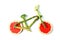 Fruit or vegetable bike on a white isolated background