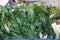 fruit and vegetable counter at the local market-