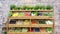 Fruit vegetables shelves background