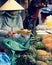 Fruit vendor in Hoi An