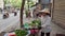 Fruit vendor in old city of Hanoi