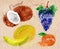 Fruit watercolor coconut, melon, mandarin, dark