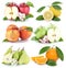 Fruits apple orange lemon peach apples oranges fresh fruit collection isolated