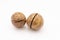 Fruits of the Australian macadamia nut on a white background. Kernels with a Shelled Shell