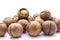 Fruits of the Australian macadamia nut on a white background. Kernels with a Shelled Shell