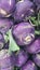 Fruits background: .Purple fresh kohlrabi turnip in supermarket for sale