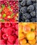 Fruits and berries. Collage.