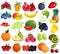 Fruits Berries Colorful Icons Collection