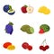 Fruits and berries icons collection. Lemon, cherry and watermelon flat symbols. Vector illustration of different fruits