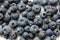 Fruits, blueberries on a white background.