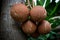 Fruits of Cannonball treeCouroupita guianensis or Sala tree