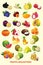 Fruits cartoon collection for kids