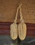 The fruits of the corn on the wall of a peasant on lake Titicaca.