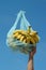 Fruits food friendly concept eco organic banana eco shopping healthy cotton bag