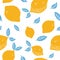 Fruits hand drawn seamless pattern. Lemons texture. Healthy and fresh citrus white background with green yellow elements. For wrap