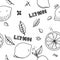 Fruits hand drawn seamless pattern. Lemons texture. Healthy and fresh food white background with black outline elements. For wrapp