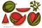 Fruits hand drawn vector illustrations collection. Colored watermelon.