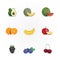 Fruits icons colour design vector