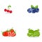 Fruits icons detailed photo realistic vector set