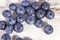Fruits of northern highbush blueberry Vaccinium corymbosum