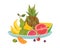 Fruits plate. Dinner bowl dish fruit lunch delicious diet health fresh appetizer, cartoon vector isolated