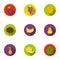 Fruits set icons in flat style. Big collection of fruits vector symbol stock illustration