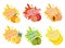 Fruits splash set of labels. Fruit splashes, drops emblem and blot collection. Vector illustration