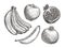 Fruits such as banana, apple, garnet, pomegranate. Sketch vector illustration