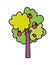 Fruits tree apples harvest farm icon