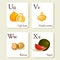 Fruits and vegetables alphabet cards