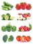 Fruits and vegetables collection isolated apples tomatoes bell p