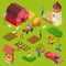 Fruits and vegetables farm, isometric gardening vector concept