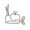 Fruits and vegetables pixel perfect linear icon. Fresh organic food. Healthy recipe ingredients. Thin line customizable