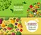 Fruits and vegetables vector logo design template