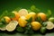 Fruity delight Citrus assortment with green leaves on green background
