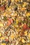 Fruity natural sportive  muesli background. for horse. close up