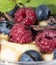 Fruity Pudding with Berries (Macro)