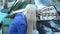 A frustrated girl near a wrecked car is holding her head