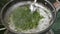 Frying chopped fresh dill plants inside old pan on oven