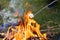 Frying marshmallow on campfire close up