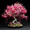 Fuchsia Bonsai: A Detailed 3d Rendering Of A Tree With Pink Flowers