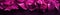 Fuchsia Paper Background Panoramic Banner. Generative AI