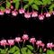 Fuchsia Seamless Double Border