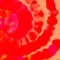 Fuchsia Spiral Dye Bohemian. Roseate Swirl Watercolor Drawing. Coral Watercolor Print. Red Batik Brush Banner. Pink Grungy Paint.