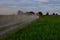 A fuel truck rushing along a dirt road leaving behind clouds of dust