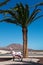 Fuerteventura, Canary Islands, Spain