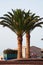 Fuerteventura, Canary Islands, Spain, goat, palm tree, roundabout, public monument