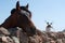 Fuerteventura, Canary Islands, Spain, windmill, nature, landscape, architecture, desert, horse